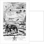 Stalking by English School