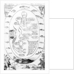 A guide to fishing and angling by English School