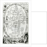 Rhetorick by English School