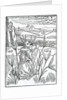 Of inprofytable and vayne prayers vowes and peticyons by (after) German School