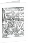 Of inprofytable and vayne prayers vowes and peticyons by (after) German School