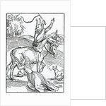 Of great wrathe, procedynge of small occasyon by (after) German School