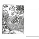 Of ouer open takynges of counsell by (after) German School