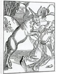 Of folys oppressyd with theyr owne foly by from an edition published in 1874