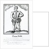 Thomas Nashe From a very scarce Pamphlet entitled 'The Trimming of Thomas Nashe Gentleman', published c.1819 by English School