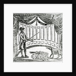 Handbill advertising a performance of the 'Suprizing Learned PIG' at Astley's Amphitheatre, 1787 by Anonymous