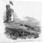 Opening of the Mathew and City of London Temperance Tower, at Mount Patrick, near Cork, 1846 by Irish School