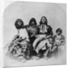 Ute Family, c.1870-75 by Charles Roscoe Savage