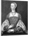 Mary of Guise by English School