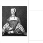 Mary of Guise by English School