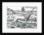 a Campchurch Unicorn by French School