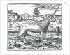a Campchurch Unicorn by French School