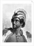 Portrait of Kaneena, a Chief of the Sandwich Islands in the North Pacific Ocean by John Webber