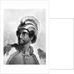 Portrait of Kaneena, a Chief of the Sandwich Islands in the North Pacific Ocean by John Webber