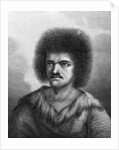 Otoo, King of O-taheite by William (after) Hodges