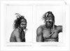 Two Savages of New Zealand by Jean (after) Piron