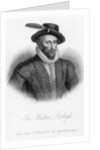 Sir Walter Raleigh, print made by S. Freeman by Marcus the Younger (after) Gheeraerts