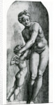 Venus and Amor, 17th Century by Italian School