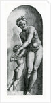 Venus and Amor, 17th Century by Italian School