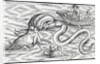 Sea monsters, 1511 by Spanish School