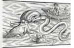 Sea monsters, 1511 by Spanish School
