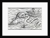 Sea monsters, 1511 by Spanish School