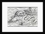 Sea monsters, 1511 by Spanish School