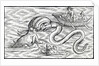 Sea monsters, 1511 by Spanish School