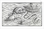 Sea monsters, 1511 by Spanish School