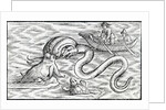 Sea monsters, 1511 by Spanish School