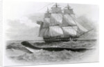 The Great Sea-Serpent when First Seen from H.M.S. Daedalus by English School