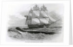 The Great Sea-Serpent when First Seen from H.M.S. Daedalus by English School