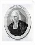 Whitefield by English School