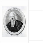 Whitefield by English School