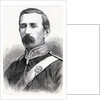 Portrait of Lieutenant-Colonel George Taylor Denison, 1877 by English School