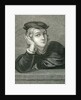Raphael at the age of 15 by English School