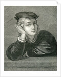 Raphael at the age of 15 by English School