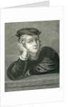 Raphael at the age of 15 by English School