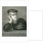 Raphael at the age of 15 by English School