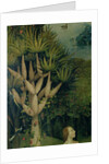 The Garden of Earthly Delights, 1490-1500 by Hieronymus Bosch