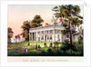 Mount Vernon, Virginia by American School