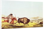 Hunting the Buffalo by American School