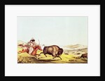Hunting the Buffalo by American School