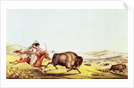 Hunting the Buffalo by American School