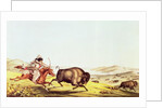 Hunting the Buffalo by American School