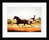 The Celebrated Horse, George M. Patchen, The Champion of the Turf by American School