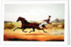 The Celebrated Horse, George M. Patchen, The Champion of the Turf by American School