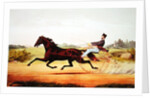 The Celebrated Horse, George M. Patchen, The Champion of the Turf by American School