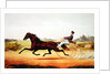 The Celebrated Horse, George M. Patchen, The Champion of the Turf by American School