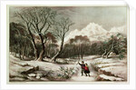 Woodlands in Winter. by American School